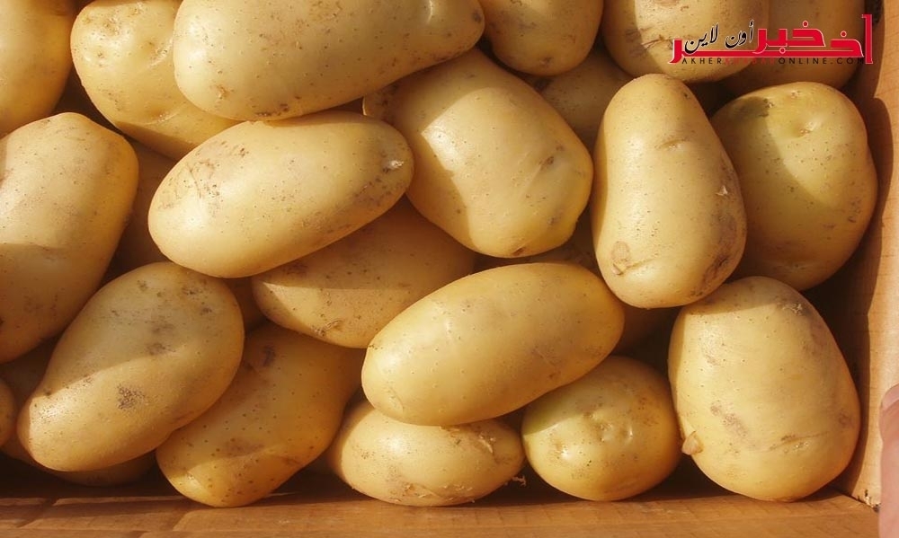 الفحص/ حجز 30 ألف كغ من البطاطا المهرّبة من القطر اللّيبي