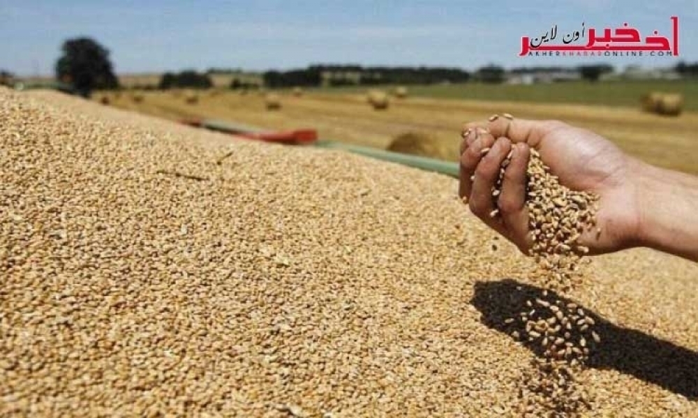 تقرير دولي / تونس ستستورد 3 مليون طن من الحبوب للموسم الفلاحي الحالي