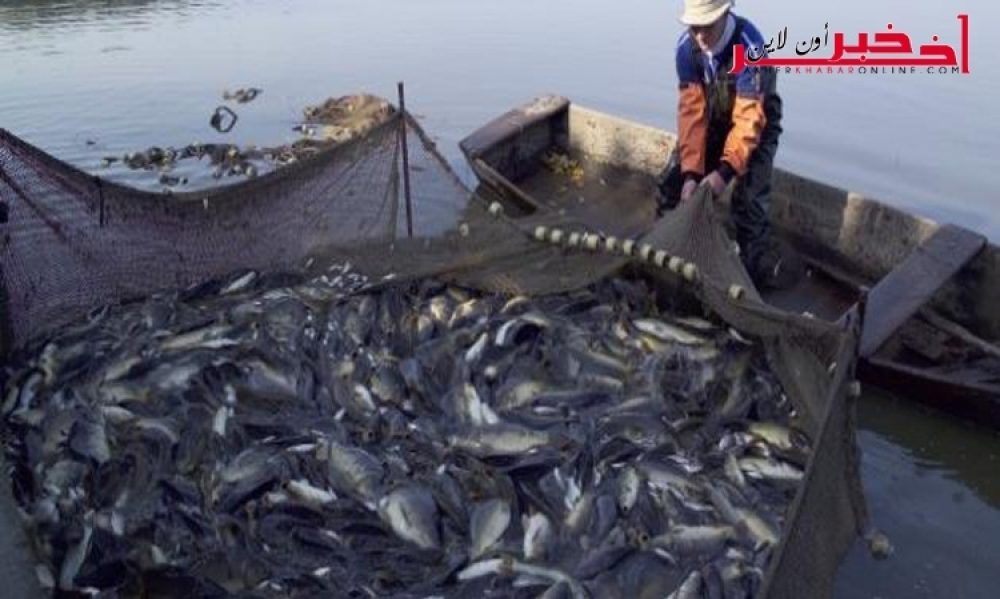    كاتب الدولة  للمياه : قريبا مراقبة الصيد  العشوائي للسمك  في تونس بالأقمار الصناعية