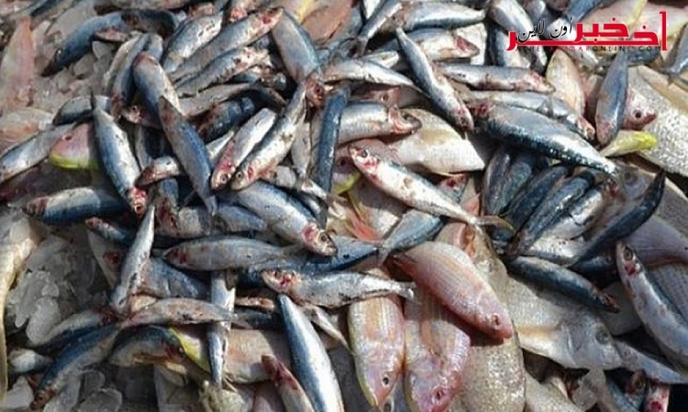 المنستير: حجز أسماك  غير صالحة للإستهلاك  بسوق الجملة