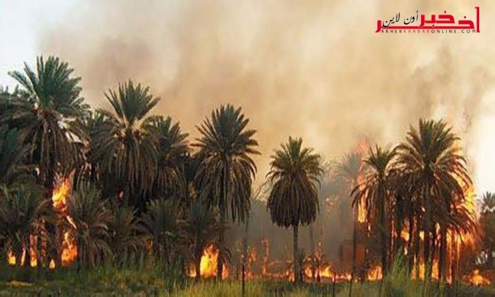 الحامّة / مواطن  يتسبّب في اندلاع النار بغابة و حرق عشرات النخلات