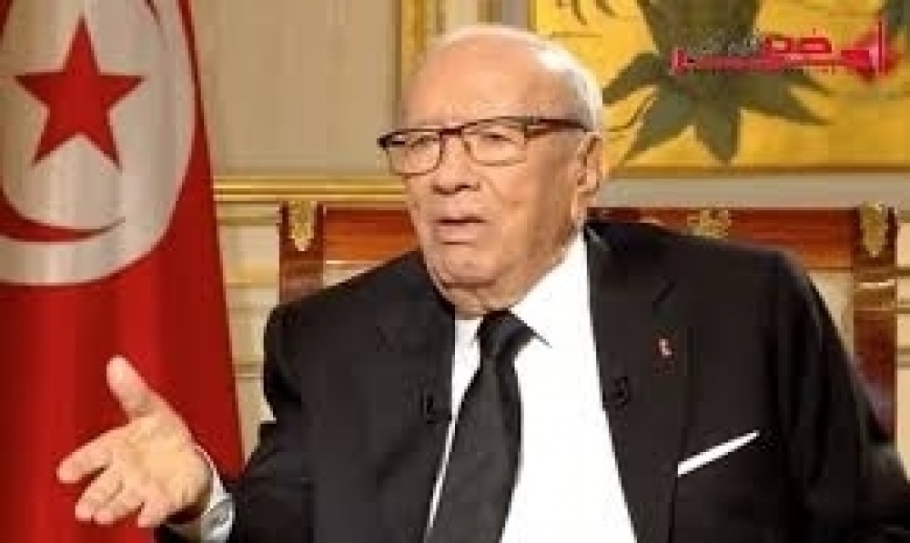 رئيس الجمهورية: تونس لم تتخلّ يوما عن دورها في خدمة القضايا العربية المشتركة (فيديو)