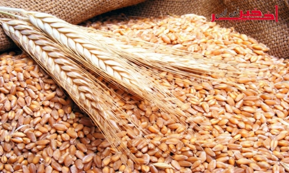 تونس تشتري نحو 100 ألف طن من القمح و75 ألفا من علف الشعير
