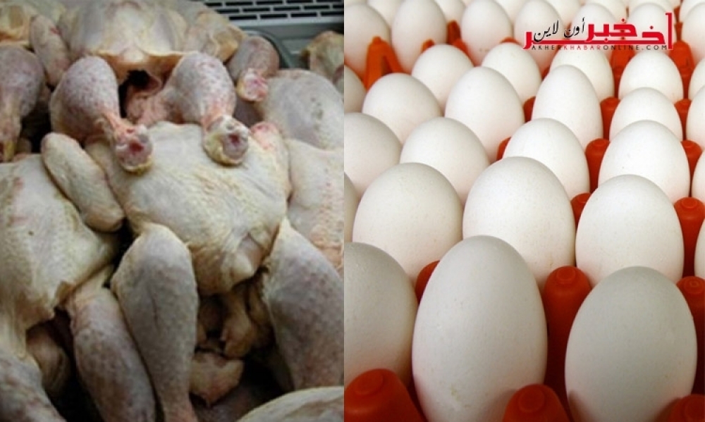  اتحاد الفلاحين  يحدد سقف  اسعار البيض و لحم الدجاج على مستوى الانتاج
