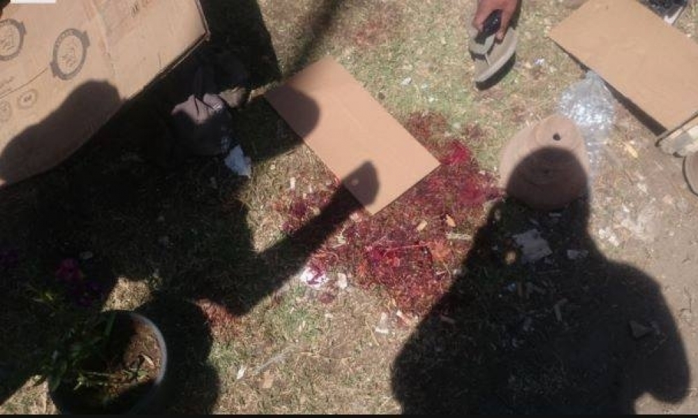 على الحدود الجزائرية التونسية / مراهق يذبح شابا بقطعة زجاج من الوريد الى الوريد 