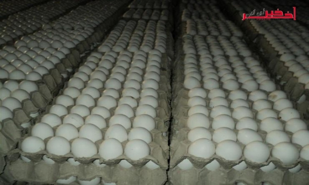 تُباع بأسعار غير قانونيّة، حجز 4800 بيضة