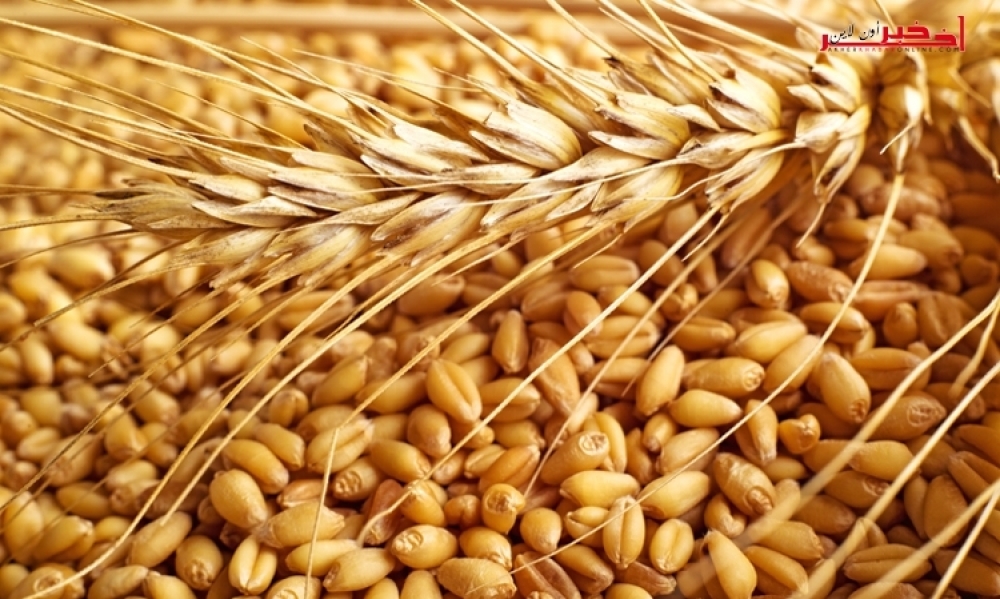 تونس تطرح مناقصة دوليّة لشراء القمح والشعير