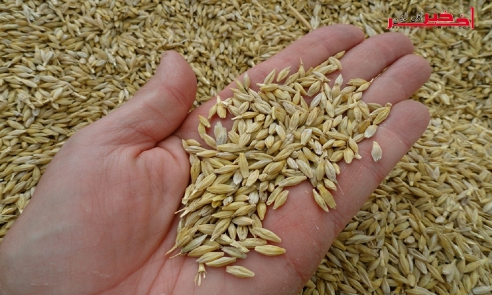 ارتفاع اسعار الحبوب في السوق الدولية، يحول دون اقتناء البلاد 50 ألف طن من الشعير
