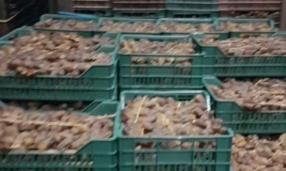 في تونس الكبرى حجز 175 ألف بيضة و5 أطنان من الدقلة  وفي القيروان الكشف عن مستودعٍ عشوائي لتخزين المواد الغذائيّة