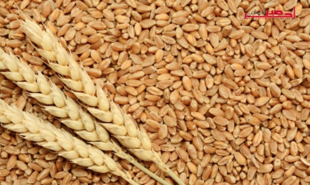 تونس تشتري القمح والشعير في مناقصة دولية 