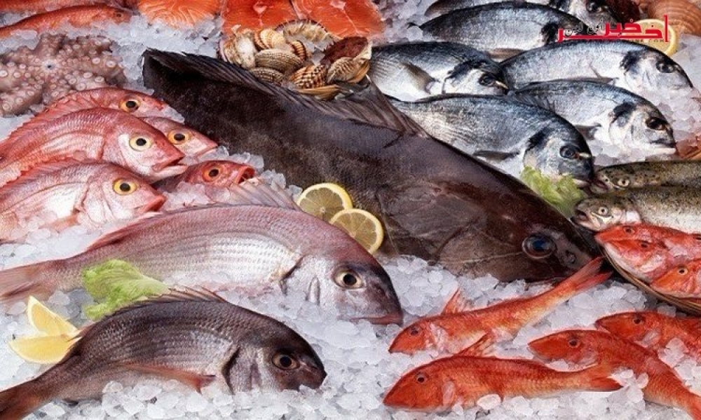 وزارة الفلاحة: إرتفاع في صادرات منتوجات الصيد البحري بـ41.8% من حيث القيمة و35% من حيث الكميّة إلى موفى شهر أفريل 2019
