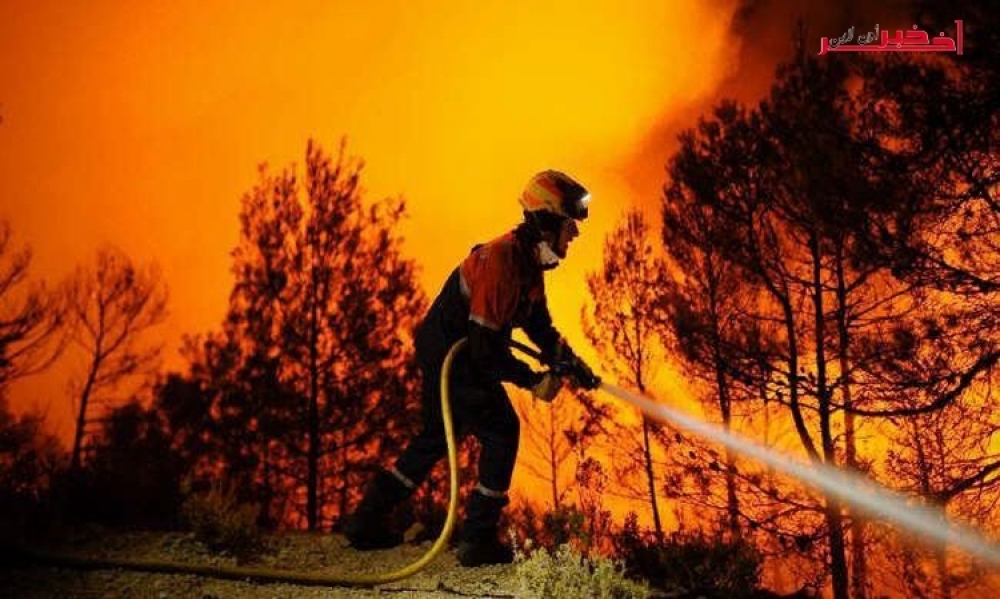الناطق الرسمي باسم الحماية المدنية .. 96 بالمائة من الحرائق تعود الى عوامل بشرية 