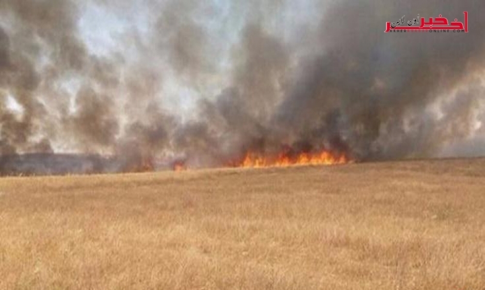 سليانة: حريق ياتي على 15 هكتارا من صابة الحبوب