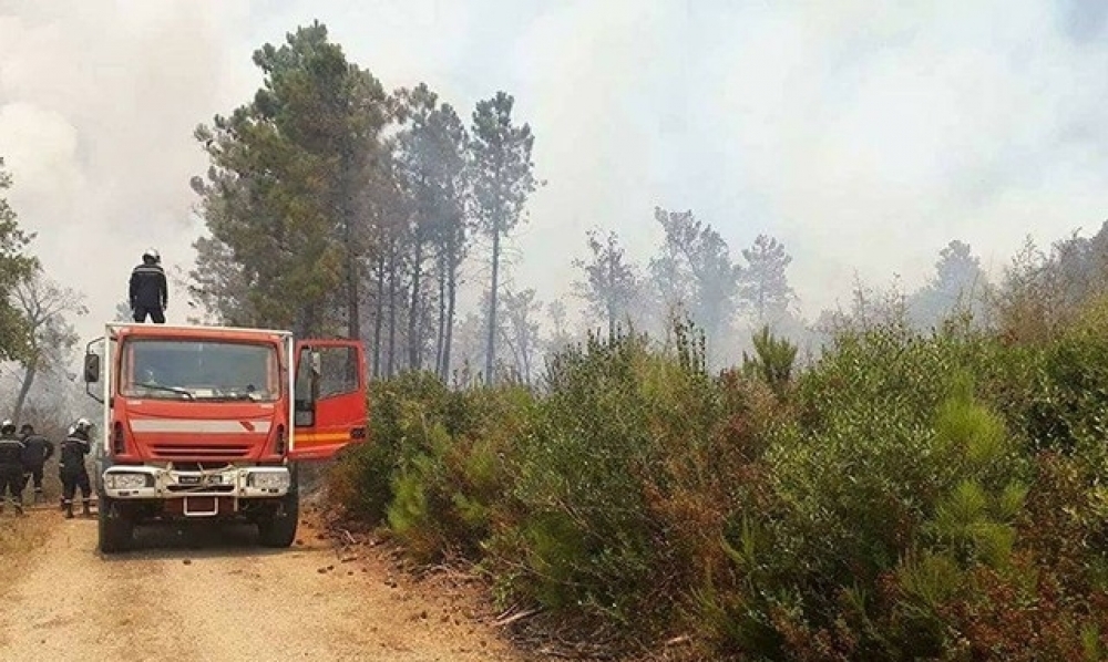 الحماية المدنية تدخلت لإطفاء أكثر من مائة حريق يوم أمس 