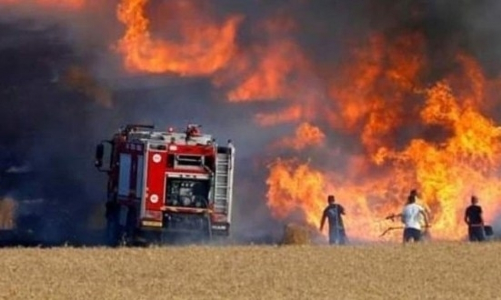 السيطرة على حريقين كبيرين في حقول بباجة