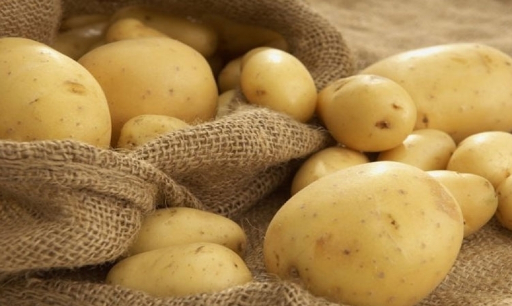 حجز 10 أطنانٍ من البطاطا بماطر كانت ستروّج في السوق السوداء