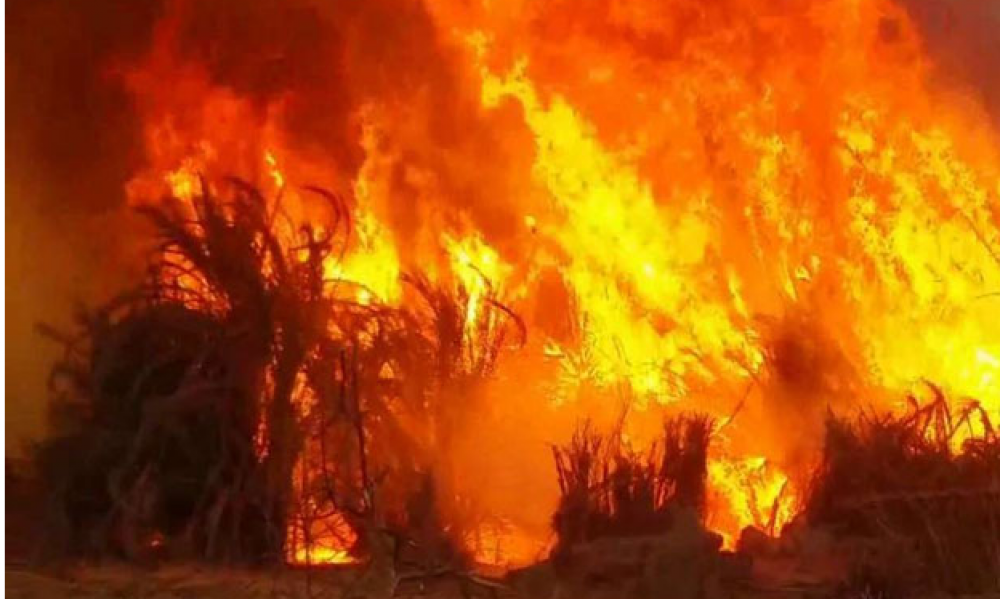 بنزرت / مصالح الحرس الوطني   تتعهد بالتحقيق في قضية حريق جبل الناظور