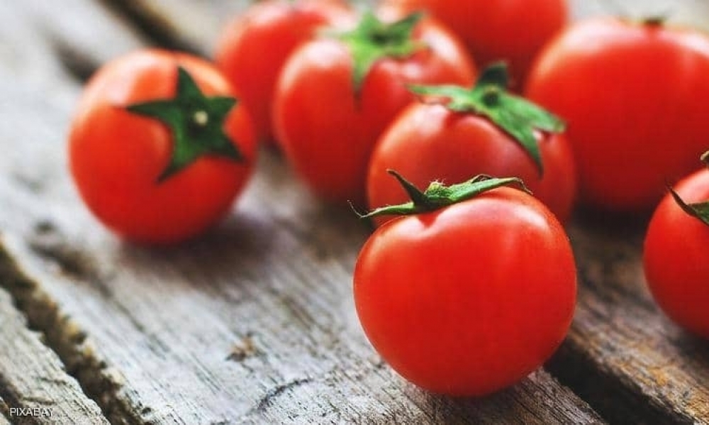 الطماطم لتحسين الخصوبة.. دراسة تكشف العلاقة الصحية
