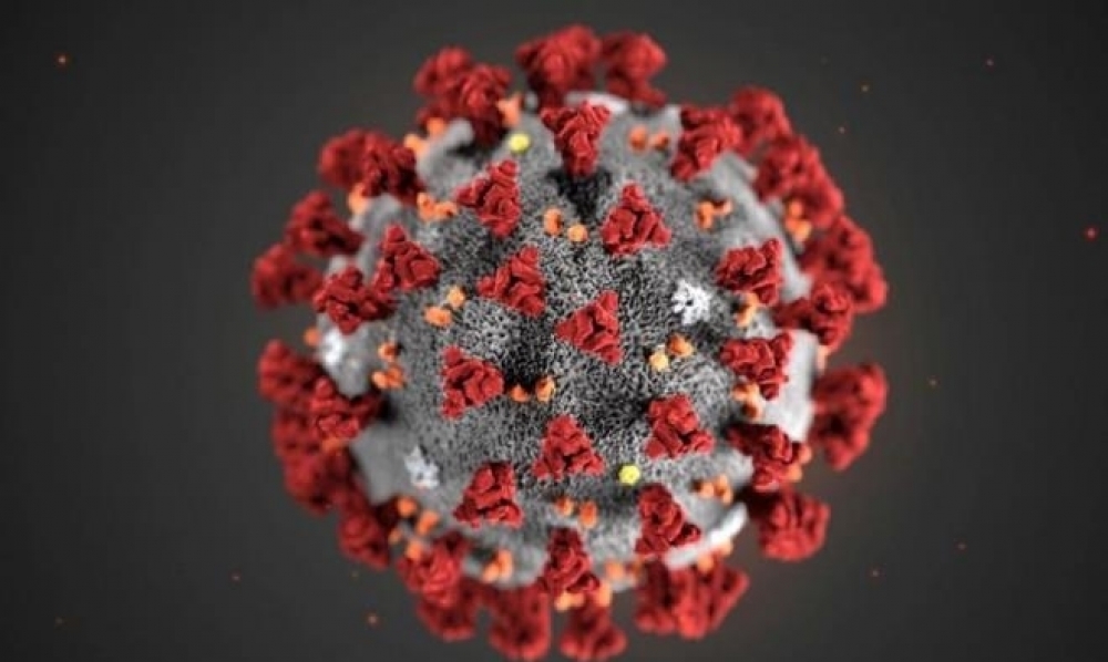 فرنسا تتخطى 70 ألف وفاة بفيروس كورونا منذ بدء الجائحة