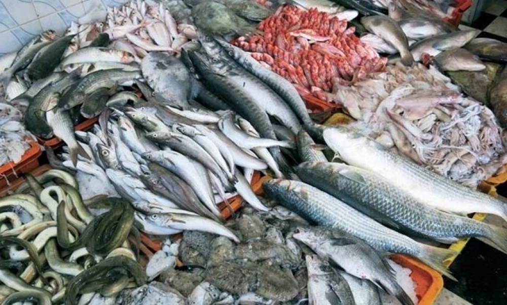 ميزان التجارة الخارجية لمنتوجات الصيد البحري يسجل ارتفاعا بنسبة 43,5% إلى حدود موفى ماي المنقضي