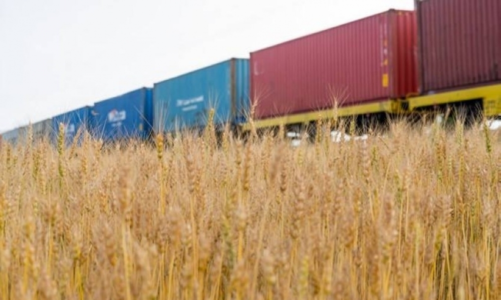 إسبانيا تطلق مشروعا تجربيا لاستيراد الحبوب الأوكرانية عبر القطار