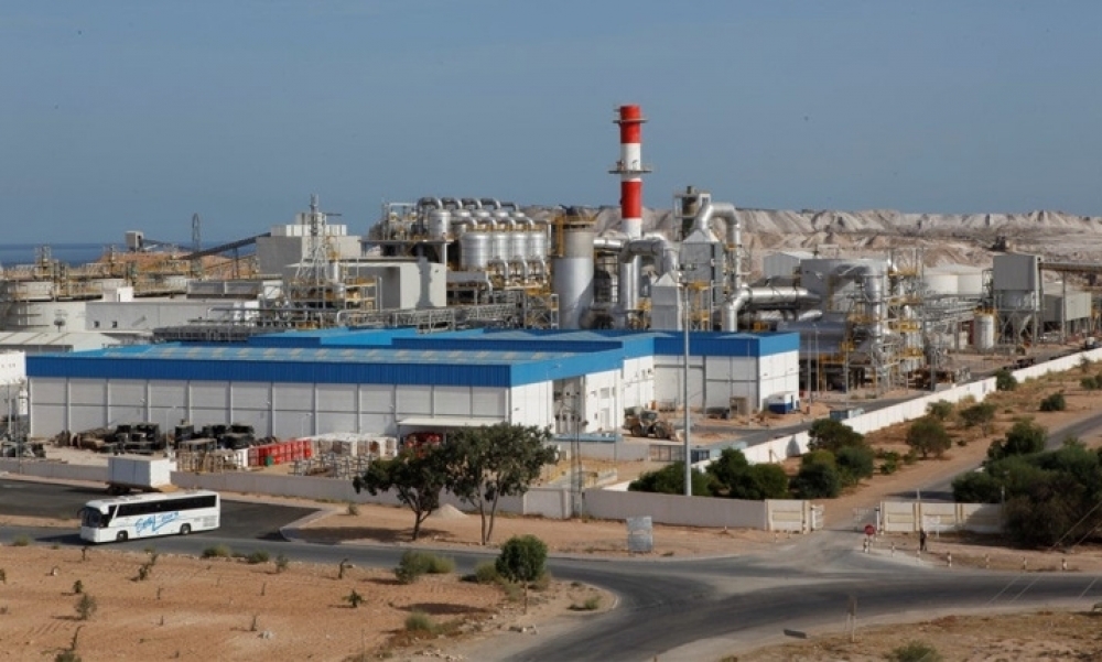 المجمع الكيميائي التونسي يؤكد توفّر كافة الأسمدة الموجّهة للقطاع الفلاحي بالكميات الكافية