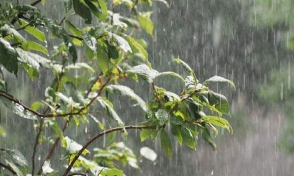 انخفاض متوسط ​​هطول الأمطار في تونس بنسبة 20 % خلال فيفري