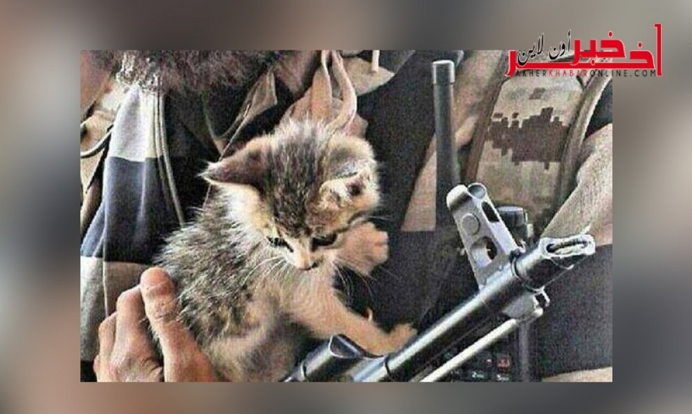 تنظيم داعش يعتمد على القطط والشوكولاطة من أجل الدعاية وامريكا تستنجد بمخرجي هوليود