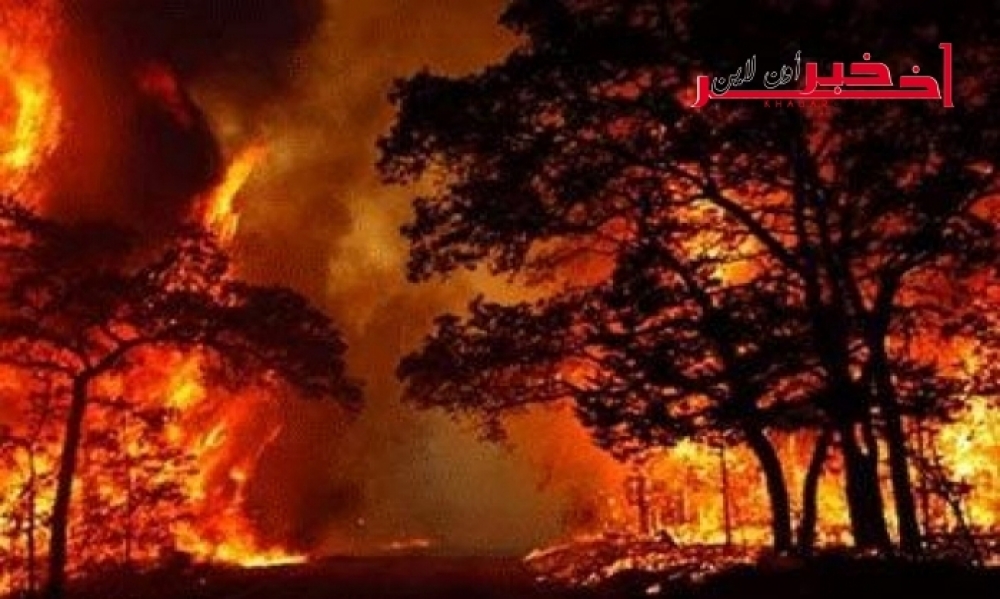 إجلاء آلاف السّكان في ولاية تينسي الأمريكيّة بسبب الحرائق