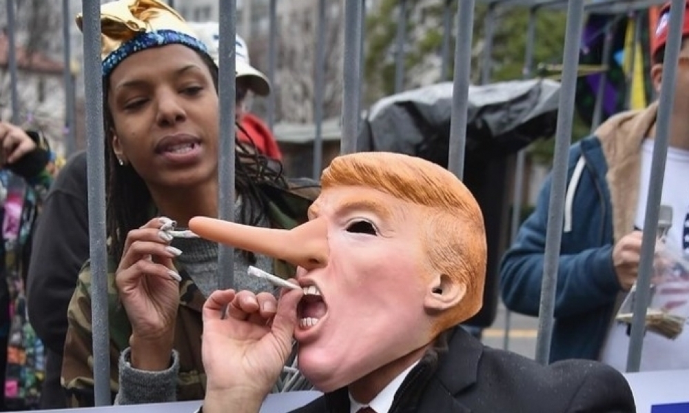Une organisation américaine distribue des cigarettes de Marijuana aux manifestants contre Trump 