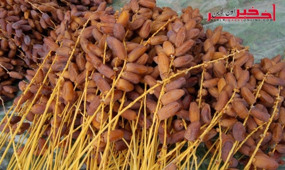 تطوّر كميات التمور المصدرة في ولاية توزر إلى مستويات قياسية