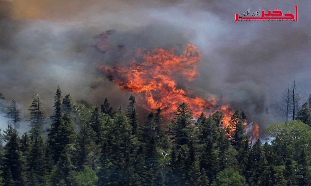 تبعد 25 كلم عن "عين سلطان" التي شهدت عملية ارهابية ،   حريق هائل بغابات جبل بوعديلة