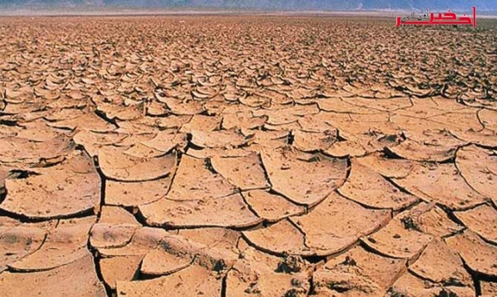 توجهات و تطورات جديدة لمكافحة التصحر المهدد  لـ 75% من التراب الوطني