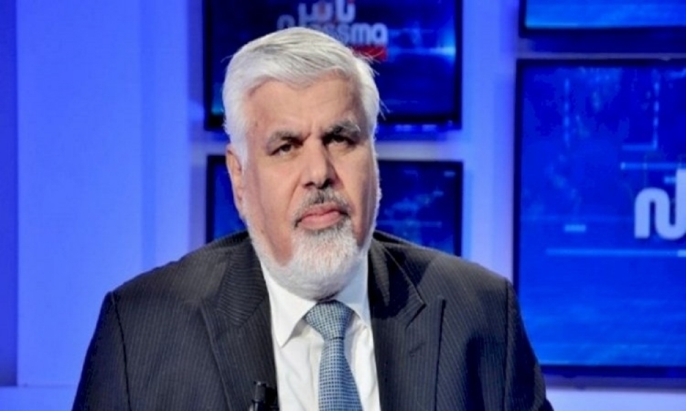 السيد فرجاني: مرحبًا بعبير موسي إن قبلت بالمشاركة في الحكومة والتيار والشعب وأحزاب أخرى وضعوا "العصا قي العجلة"