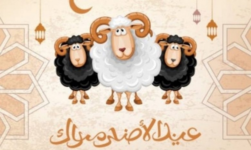  مفتي الجمهورية : الجمعة 31 جويلية هو يوم عيد الأضحى