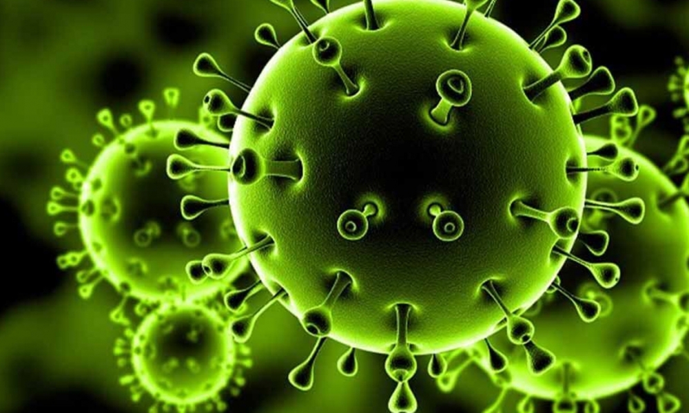 تسجيل 14 حالة اصابة جديدة بفيروس كورونا 