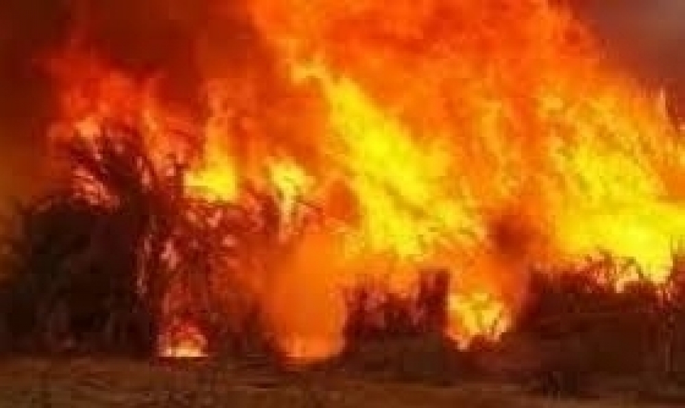 اطفاء 111 حريقا في يوم واحد