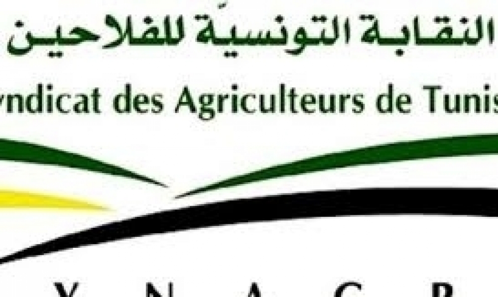 صعوبات في قطاع الزراعات الكبرى، نقابة الفلاحين ببنزرت تطالب بتوفير مستلزمات الإنتاج