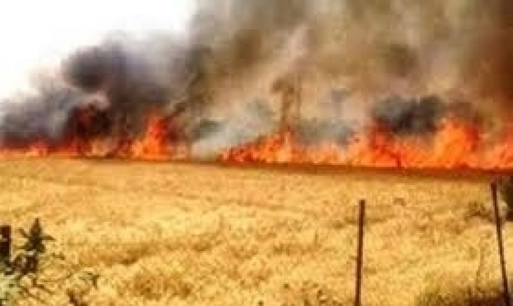 زغوان: اندلاع حريق قرب محطة النقل
