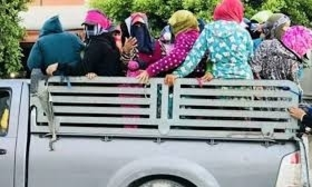 اليوم / مجلس وزاري  للمصادقة على الأمر الترتيبي الخاص بعمليّة تنظيم نقل العاملات الفلاحات 
