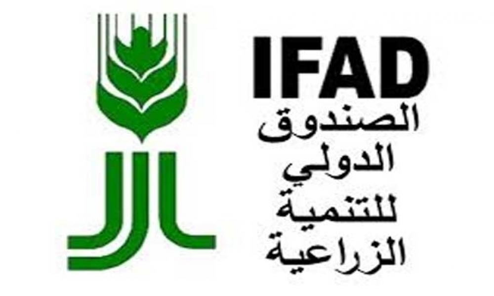 الصندوق الدولي للتنمية الزراعيّة يدعو إلى حماية النساء الريفيات من الانعكاسات الاجتماعية والاقتصادية لجائحة كورونا