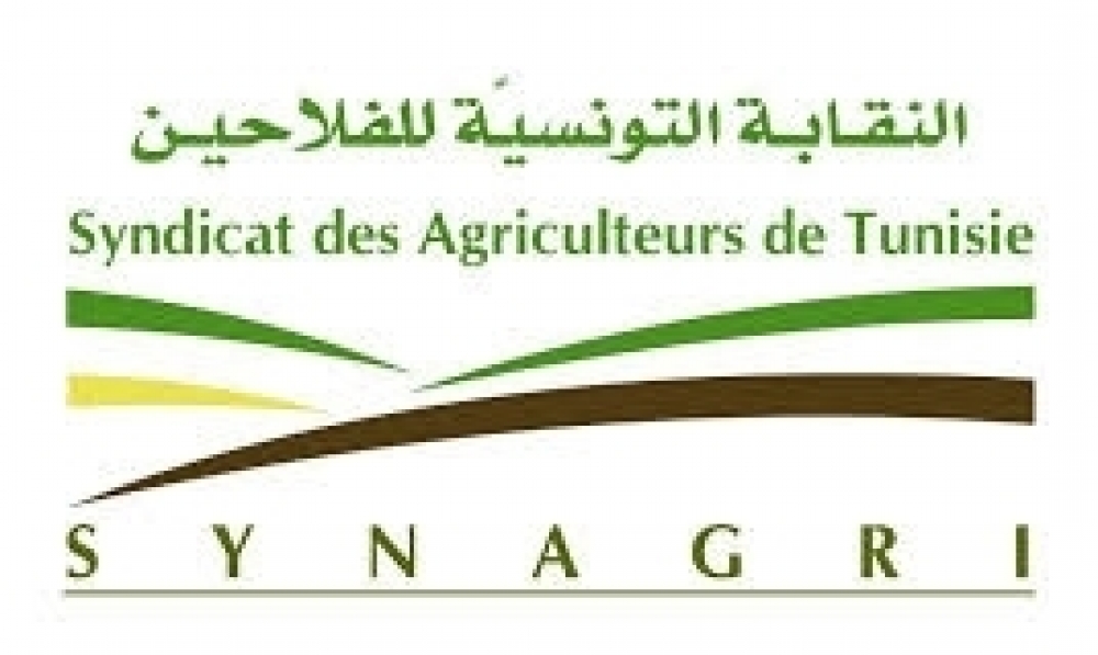نقابة الفلاحين : تفشّي مرض اللسان الأزرق سببه إلغاء التلقيح في السنوات الماضية ونطالب بتعويض الفلاّحين المتضرّرين