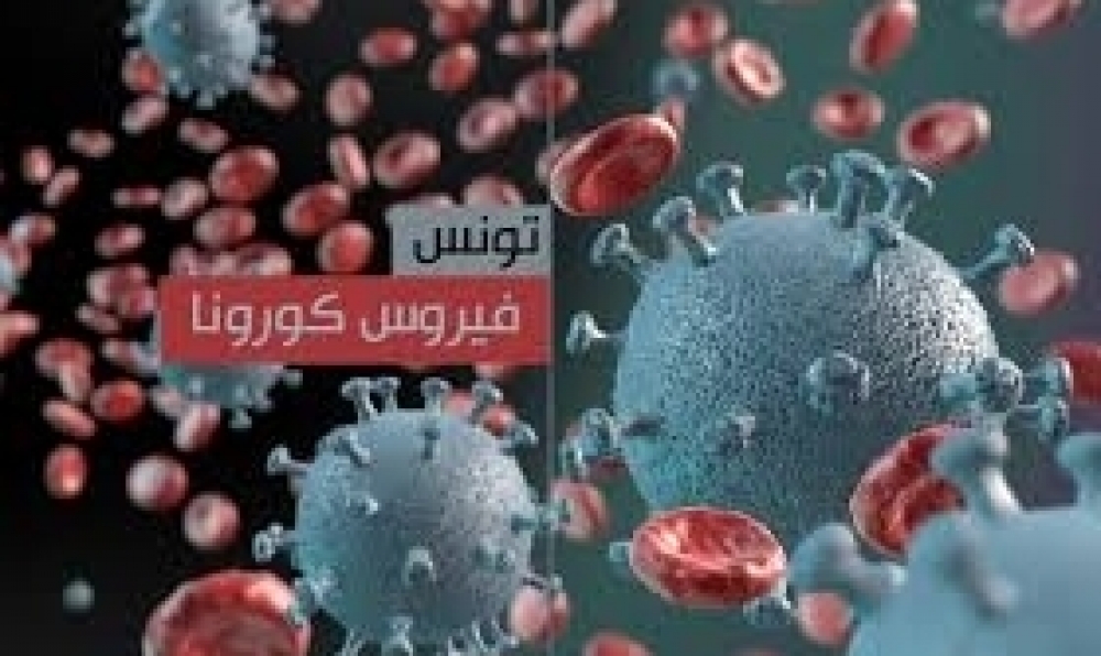 وزارة الصحة: 19 وفاة و599 إصابة جديدة بكورونا