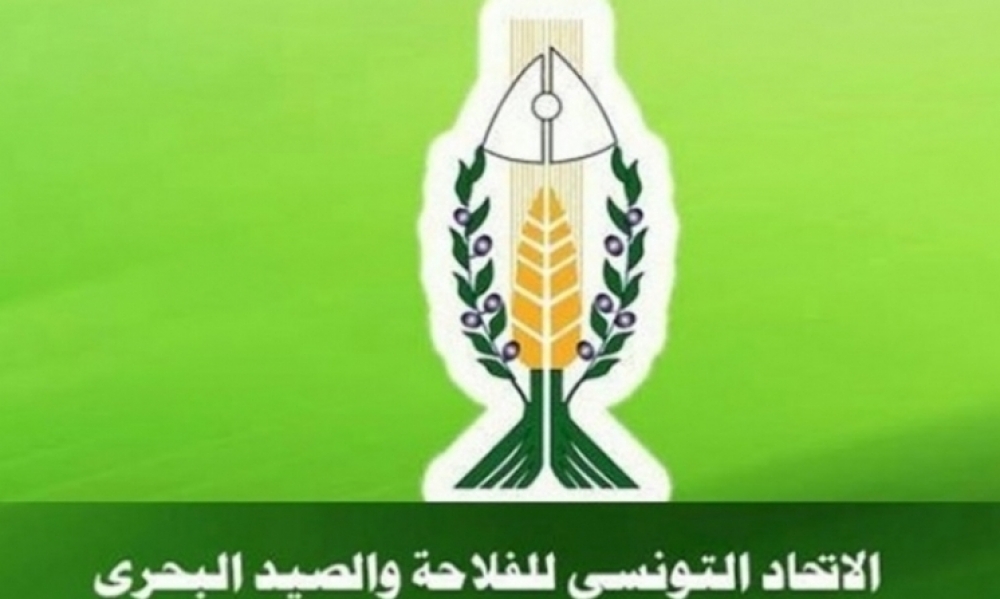 إتحاد الفلاحة : مشروع قانون الماليّة الحالي لم يتضمّن إجراءاتٍ من شأنها معالجة الإشكاليّات الهيكليّة التي يواجهها القطاع