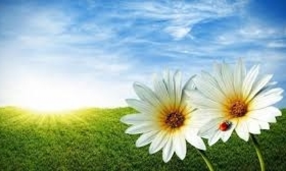 طقس اليوم / إرتفاع في درجات الحرارة مع ظهور الشهيلي