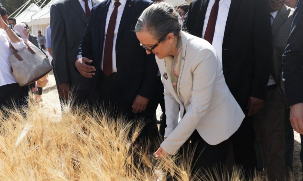 من سليانة: بودن تعطي شارة انطلاق موسم الحصاد 2021/2022 