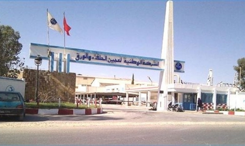  طلبات على شركة عجين الحلفاء لإنتاج 700 طن من الورق