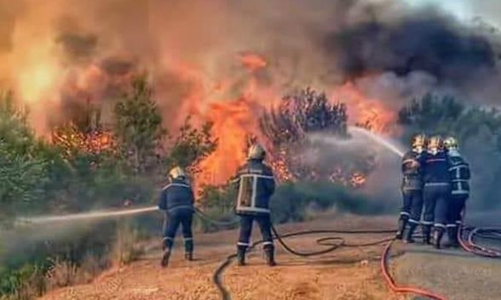 السيطرة على حريق نشب بأرض زراعية بمنطقة الهوام