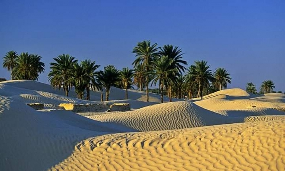 حالة الطقس اليوم...