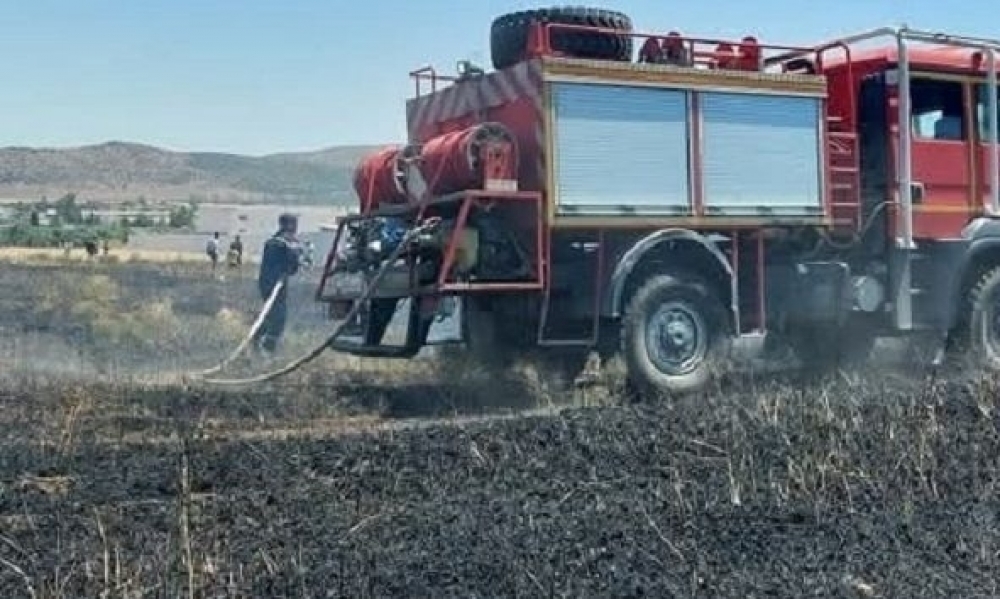 جندوبة.. حريق ياتي على 1.4 هك من زراعات القمح والشعير والقصيبة